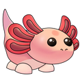 Axolotl