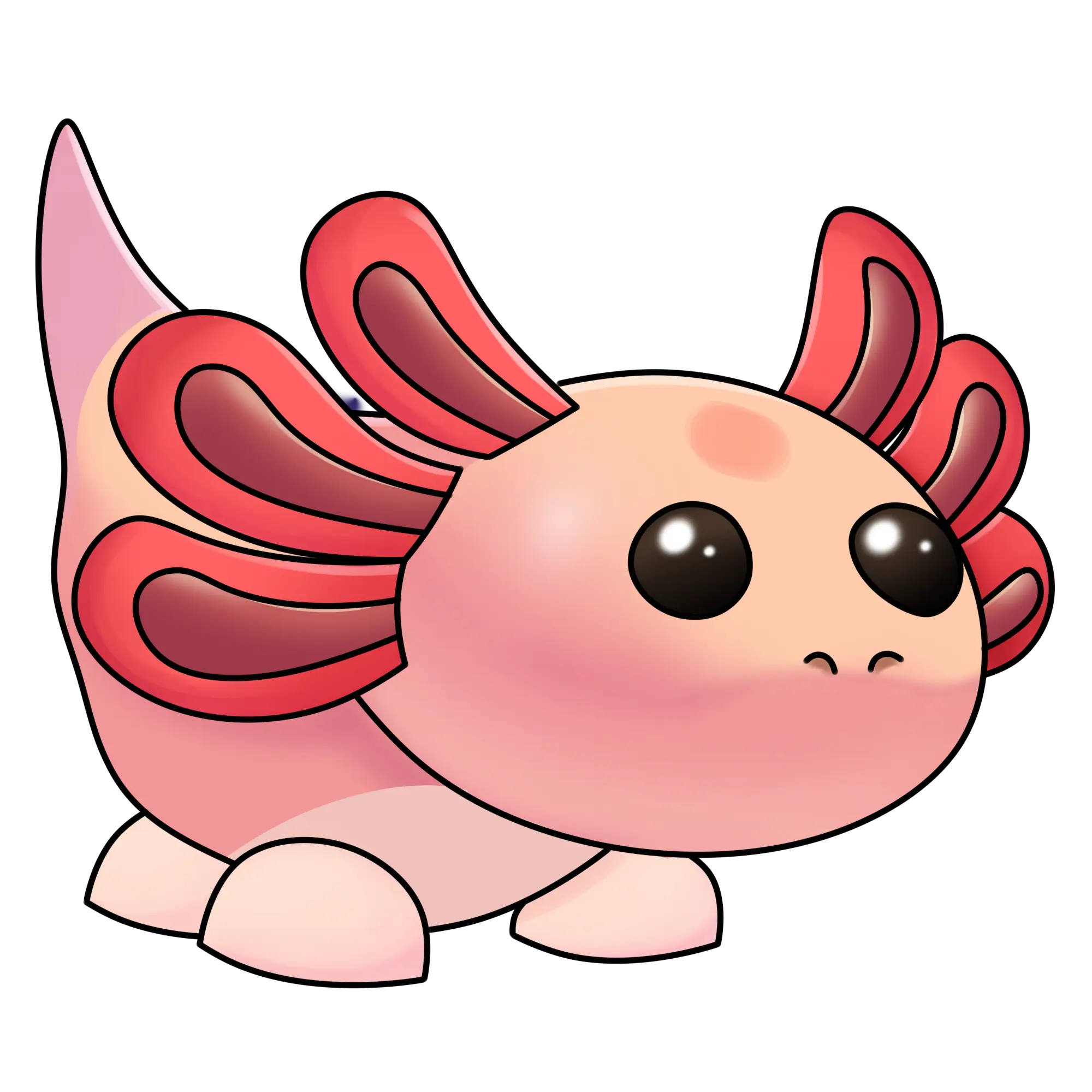 Axolotl