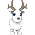 Arctic Reindeer